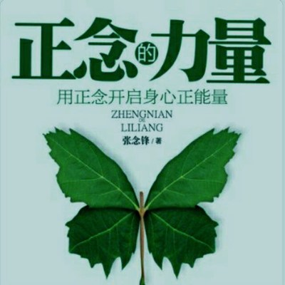 正念的力量为什么我们要培养正念的习惯